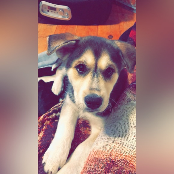 Meet your Posher, Celena - Picture 5 of 9